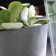 Kashpo for flowers, 28.5 l, color concrete, tubus effect