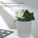 Auto -polywaves for indoor plants, PVC, "flower", Greengo