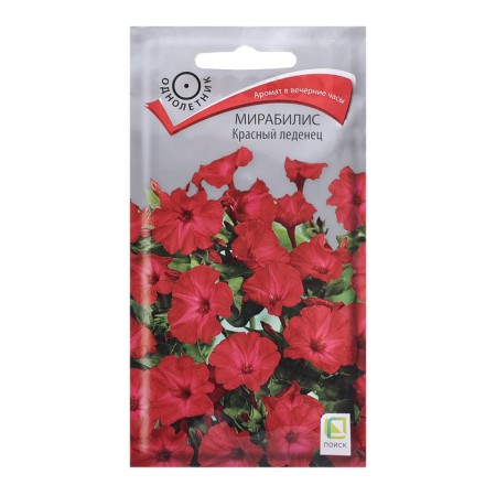 Flowers of Mirabilis "Red Lollipop", 1gr.