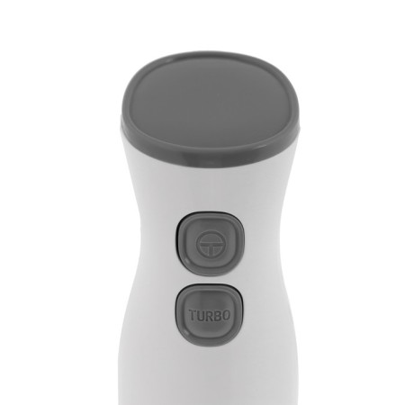 Aksinya Bleader KS-326, Posterzhny, 750 W, 2 speeds, "turbo" mode, white-gray-1