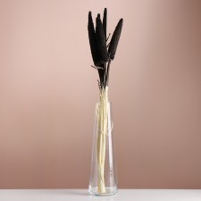 Set of dried flowers 