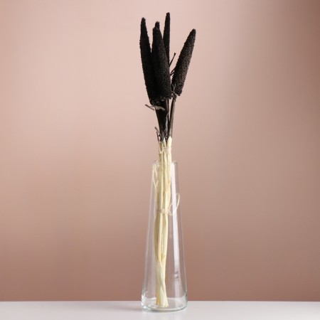 Set of dried flowers "African millet", banch 3-5 pcs, length 60 (+/- 6 cm), graphite