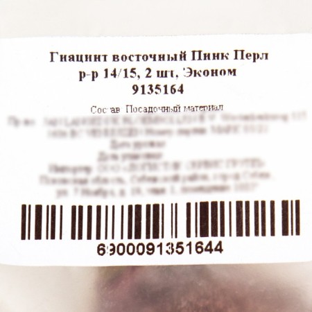 Hyacinth East Pink Perl, rr 14/15, 2 pcs, Economy, autumn 2024-1
