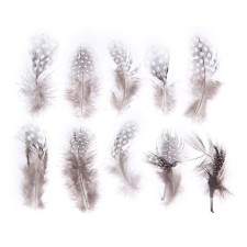 A set of feathers for decor 10 pcs., Size 1 pcs: 5 × 2 cm, brown color with white