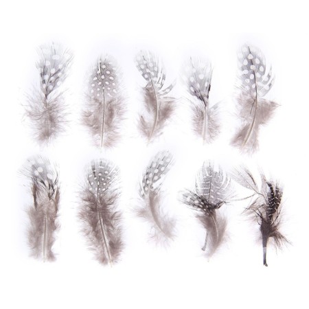 A set of feathers for decor 10 pcs., Size 1 pcs: 5 × 2 cm, brown color with white