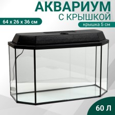 Aquarium 