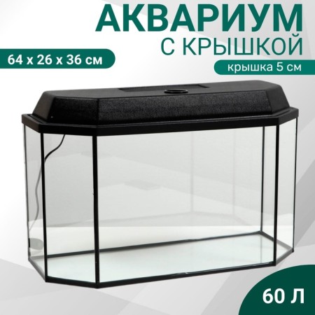 Aquarium "Panoramic" with a lid, 60 liters, 64 x 26 x 36/41 cm, black