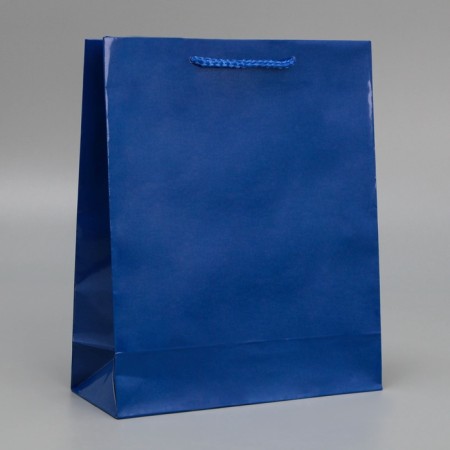 Gift laminated package, packaging, “blue”, ml 21 x 25 x 8 cm-2