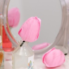 Soap tulip, pink
