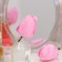 Soap tulip, pink