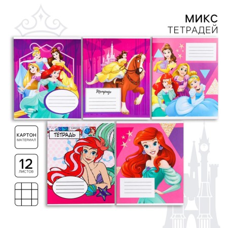 Notebook in a cage 12 sheets, 5 types of mix, cover coated cardboard, princesses