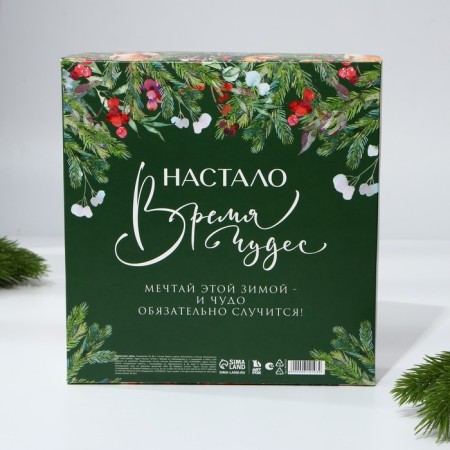 Gift New Year's set. Diary and thermostatic "Miracle will happen"-9