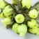 Flowers for decorating "Rose Blanca" light green 1 bouquet = 12 colors 10 cm