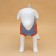 Sweater "Bunny", L (DS 29, Osh 29, OG 29-49 cm)