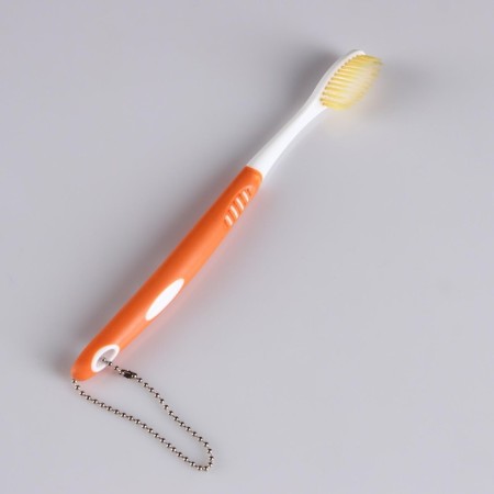 Model "Human Jaw" 12*9cm-7