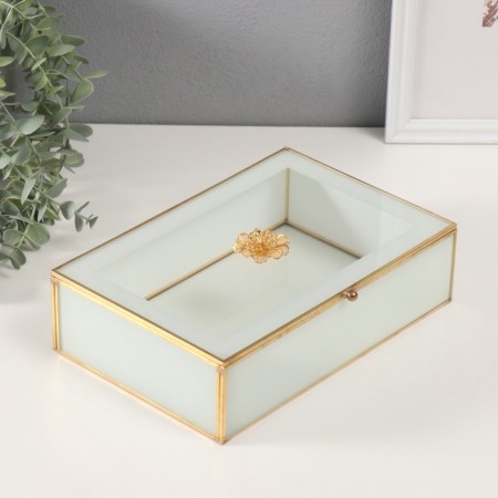 Casket glass with a metal frame "Bud" transparent white 16x24x7 cm