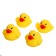 A set of toys for the bath "Catch a duck", 5 objects, color mix