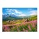 Puzzle "Tatra. Poland ", 1000 elements