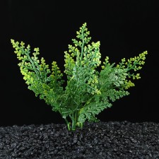 The plant is artificial aquarium, up to 13 cm