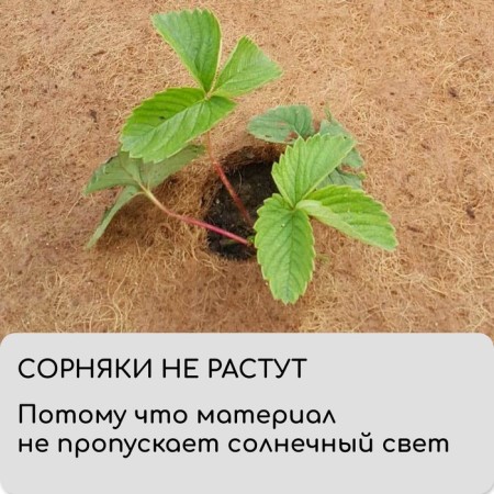 Coconut canvas for mulching, 3 × 1 m, "Mulchamagram"-5