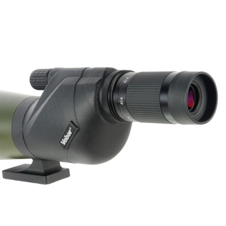 Vyber Defense visual pipe, 20-60 × 80 WP, with a grid-3
