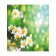 A set of napkins for setting the table "Lovely chamomile", rectangular, size 32x46 cm, 4 pcs