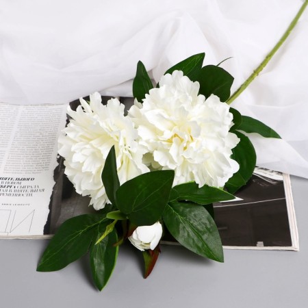 Flowers artificial "PION Snow Peak" D-14 cm 61 cm, white