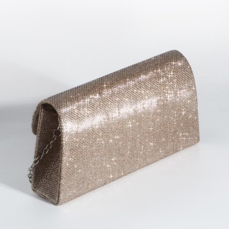 Magneta bag bag, long chain, golden color-1