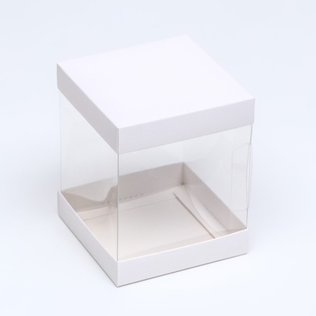 Box with PVC mini 10 x 10 x 12 cm "White"-1
