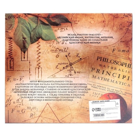 Metal puzzle “Newton's riddles”, set 4 pcs-4