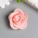 Decor for creativity "Shampan Rose" d = 3.5 cm