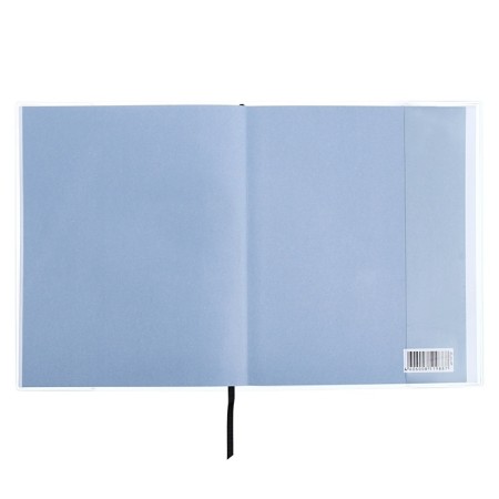 Universal Diary Grade 1-11, 48 sheets "Cosmonaut", a soft cover of PVC, embossing with foil, liesse, block offset-12
