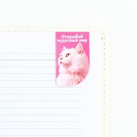 Magnetic bookmarks mini, 4 pcs of “brisk spring”-1