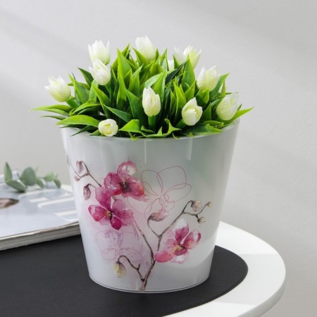 Kashpo for orchids "Fiji", 1.6 l, design mix