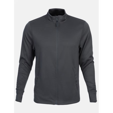 Long -line male Resport, on a zipper, p. 48, the color is gray, basic, with a long sleeve-10