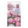 Flower seeds Margarita "Habaner White with red tips F1", 5 pcs