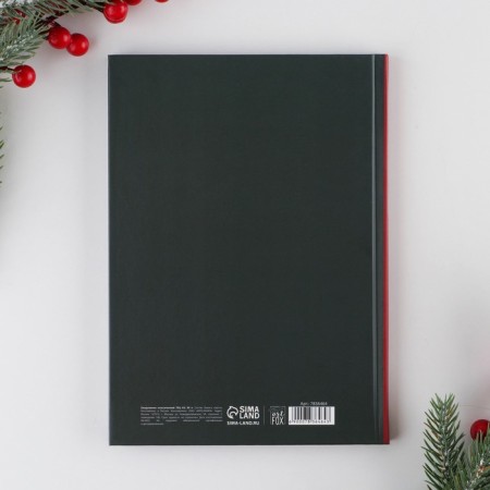 New Year. Diary Classic "New Year Miracles", 7BC A5, 80 sheets-5