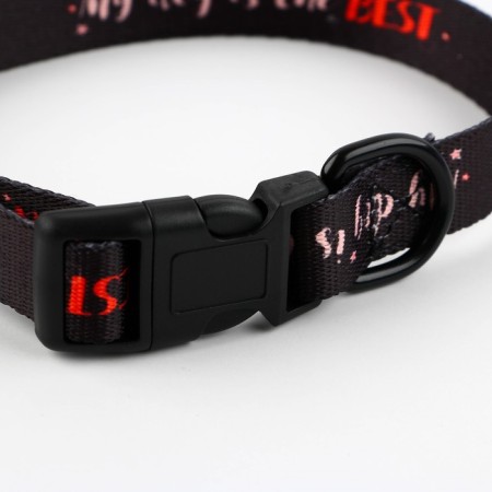Collar My Dog is the Best, fastener - Fastex, 2 cm 25-40 cm-5