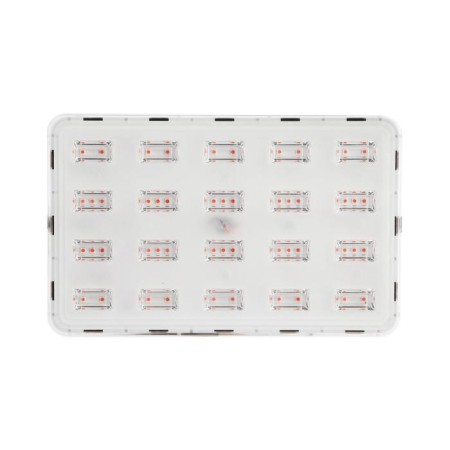 LED Luazon, 50 W, IP65, 220 V, multi -pointral phytoprojector-2