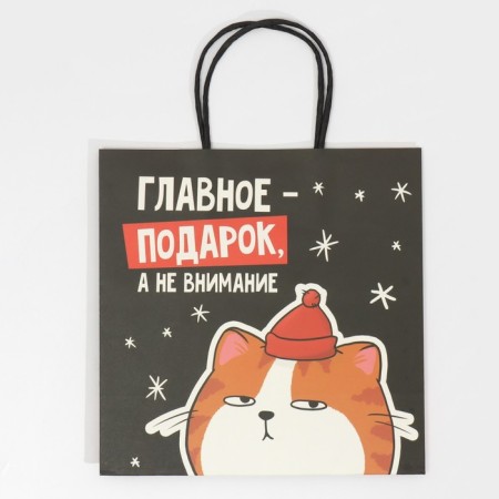 Gift package "Happiness", 22 x 22 x 11 cm, new year-5