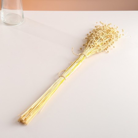 Set of dried flowers "Lenon-debunge", banch length 55-60 (+/- 6 cm).-3