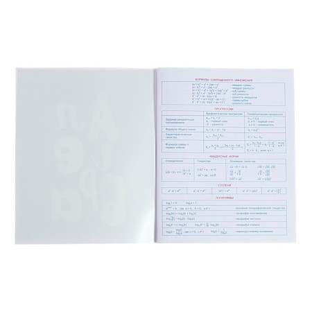 Subject “Domino”, 48 sheets in a cage, “algebra”, plastic cover, offset block-1