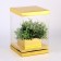 Box for flowers with a vase and PVC are folding windows, 16 x 23 x 16 cm, gold