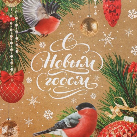 Craft vertical "Bullfinch" package, l 31 x 40 x 11.5 cm, new year-4