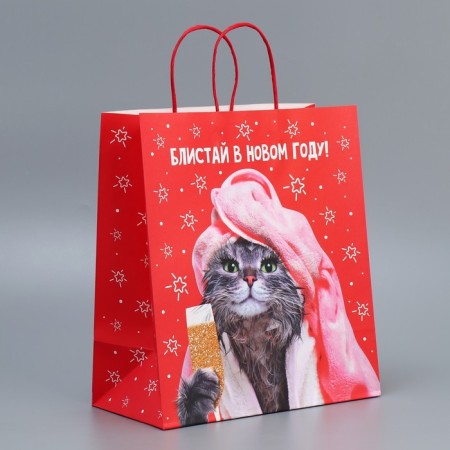 Gift Crafts "Blistai", 28 x 32 x 15 cm, New Year-1