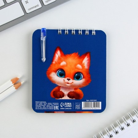 Gift set by notebook and mini-hand "Raccoon"-7