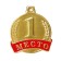 Medal prize 055 diam. 4.5 cm. 1 place. The color of evil. Without a tape
