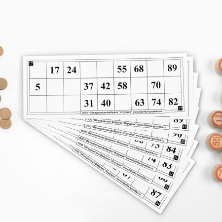 Russian lotto "So far all at home", 24 cards, card 21 x 8 cm-5