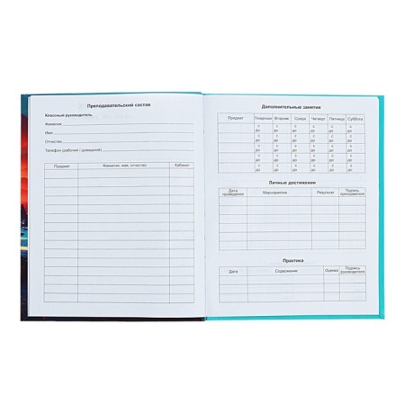 Diary 1-11 Grade Strange Land, 48 sheets, hard cover, matte lamination, selective varnish, offset block-5
