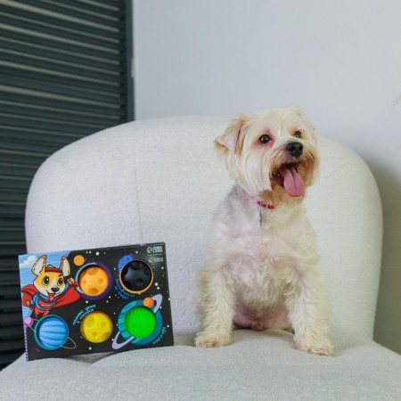 Cosmodog dog balls, 5 goals-1